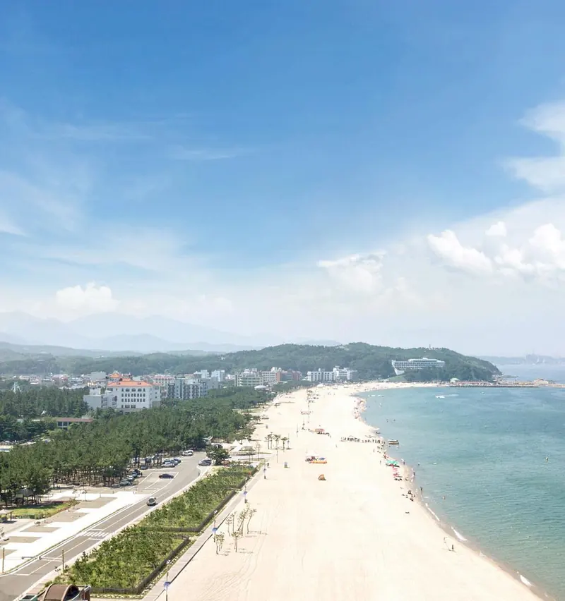 위에서 내려다본 낙산해변 백사장과 송림